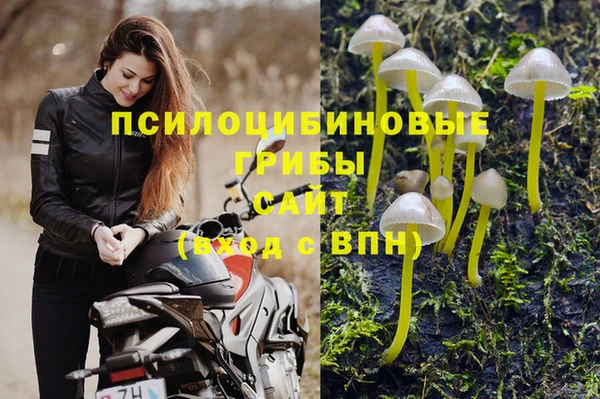амф Нея